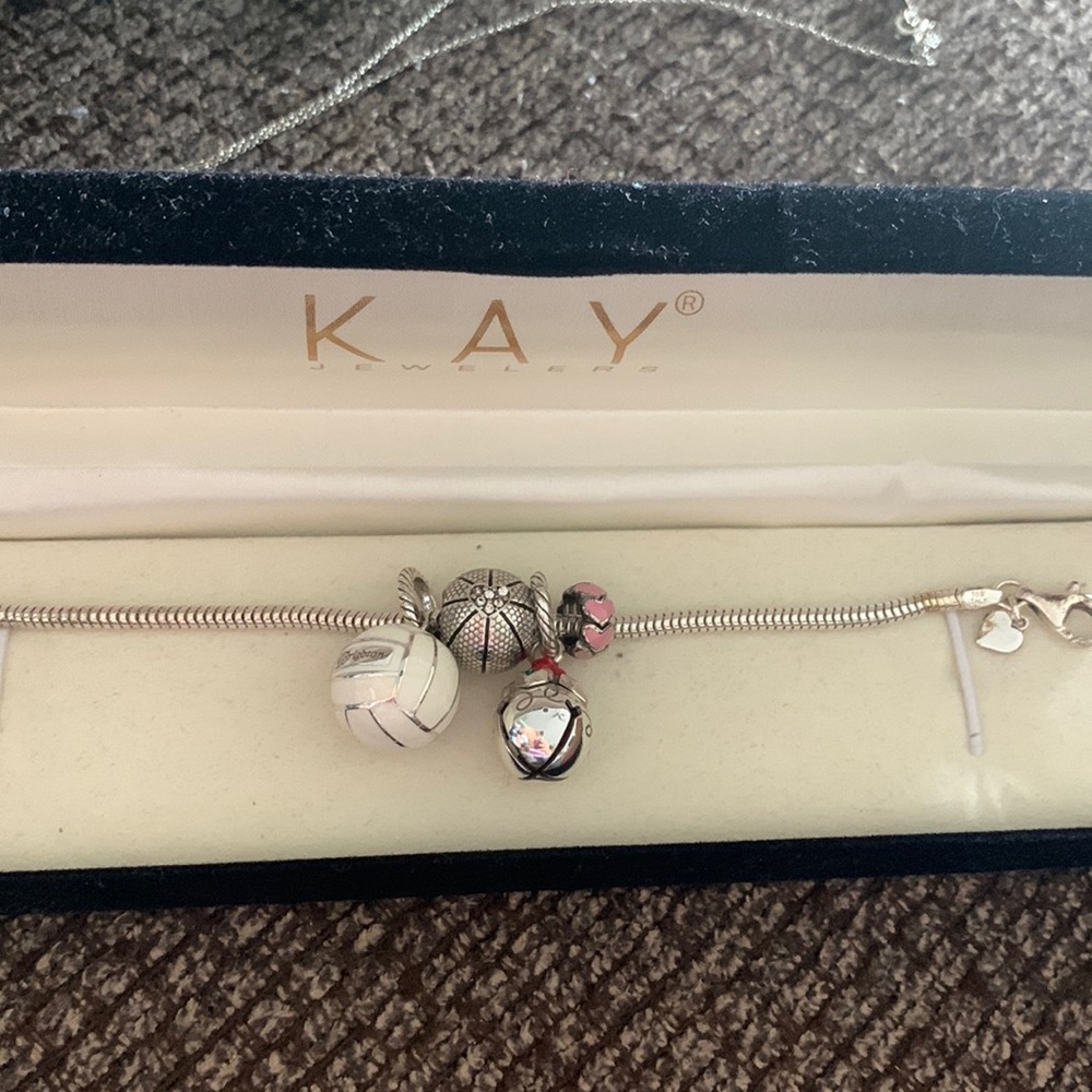 Pandora Bracelet and Charms